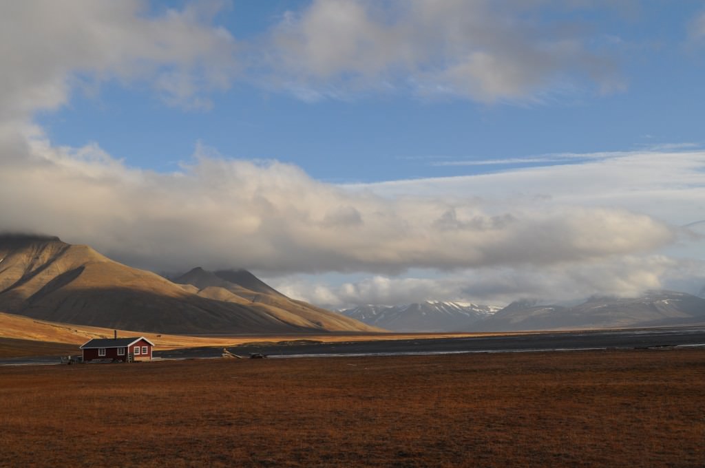 Svalbard 2015 (612)