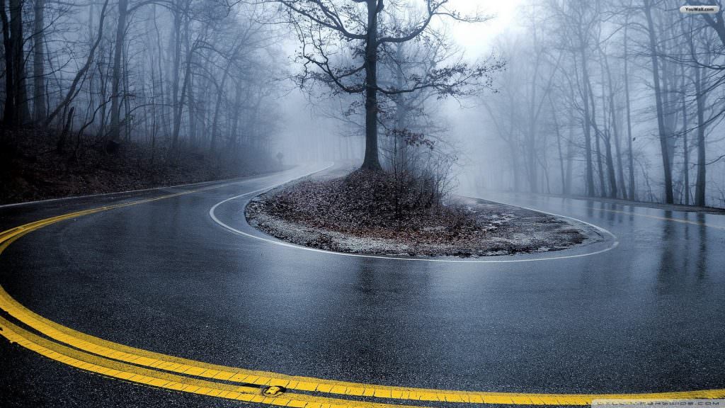 foggy-forest-road-wallpaper